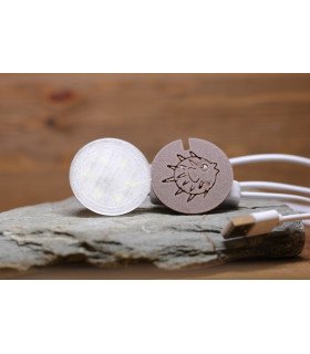 Led pour bouchon Liège