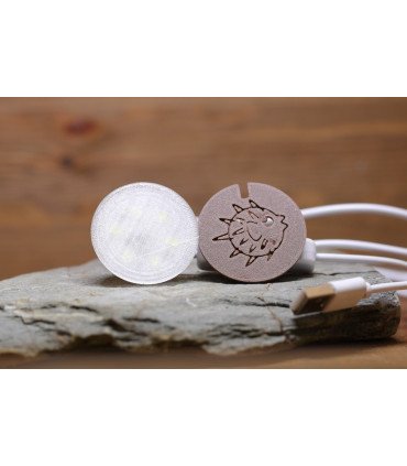 Led pour bouchon Liège