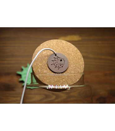 Led pour bouchon Liège