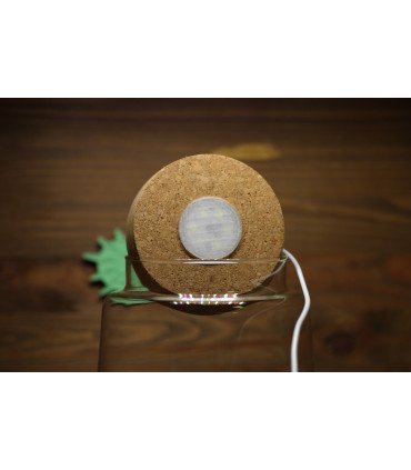 Led pour bouchon Liège