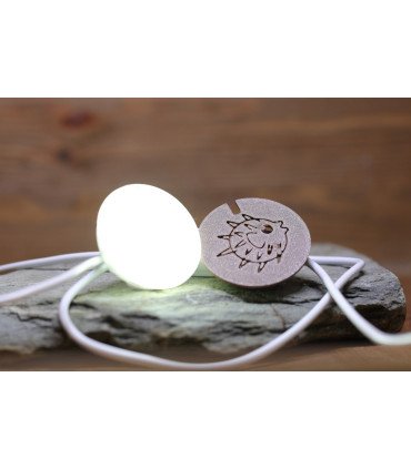 Led pour bouchon Liège