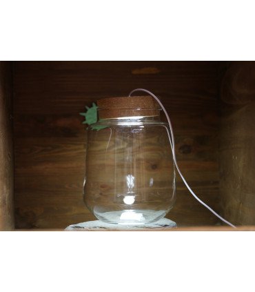 Kit Mini-Terrarium "Izumi"  avec ou sans LED