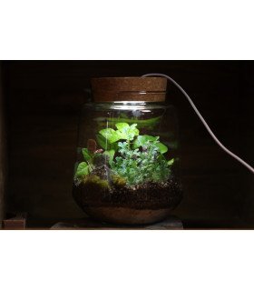 Kit atelier Izumi avec LED