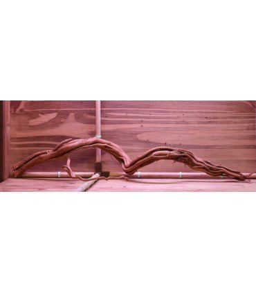 Curli Wood sur photo