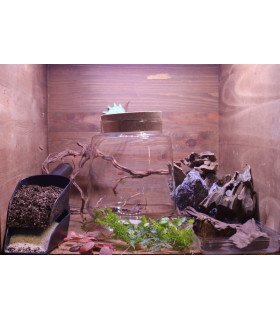 Kit atelier Izumi sans LED