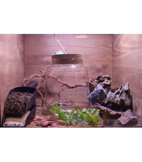 Kit atelier Izumi avec LED