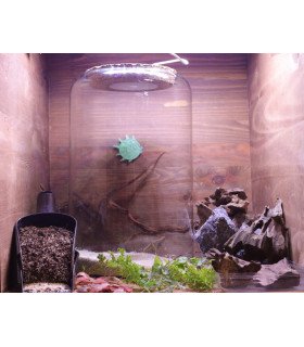 Kit Atelier Mini-Terrarium 'Cylindre M' + LED 5w