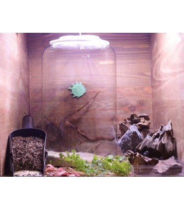Kit Atelier Mini-Terrarium 'Cylindre M' + LED O'rchidLight