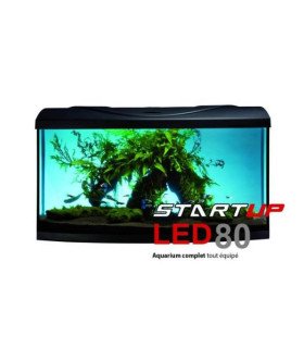 kit aquarium cubique et filtre  20Litres