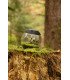 Micro terrarium eclairage LED