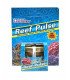 Reef Pulse
