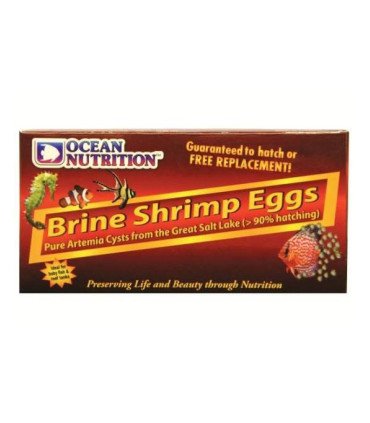 OEUFS D'ARTEMIA 50GR