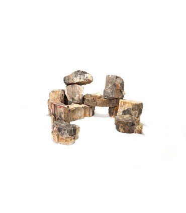 Pierre Wood Fossil M