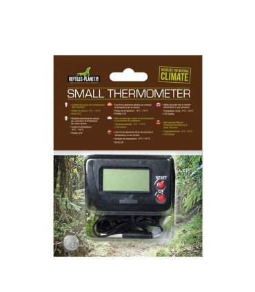 Small Thermometer