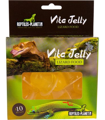 Vita Jelly Banana Lizard 10pcs