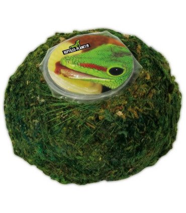 Repti Moss Ball