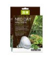 Neo Day Halogen