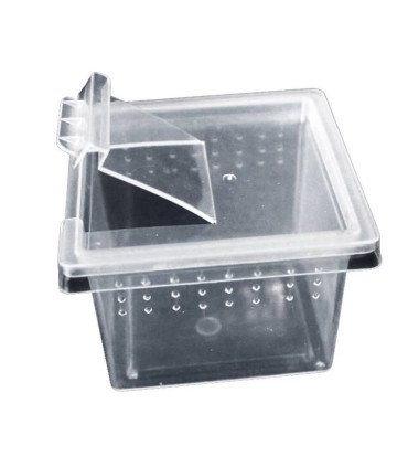 Boite élevage reptiles ou insectes