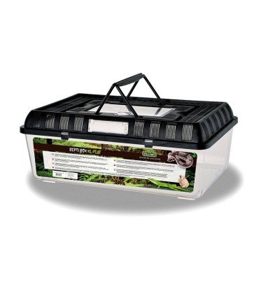 Reptile Box XL Flat 42x26x16 cm LxlxH