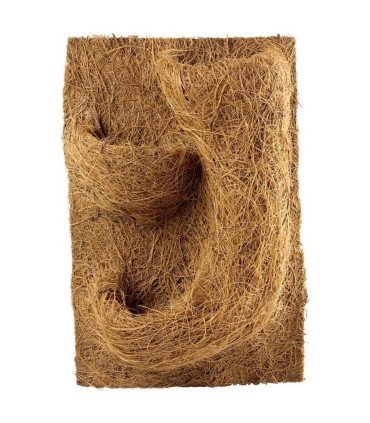 Planting Background 20x30x1cm