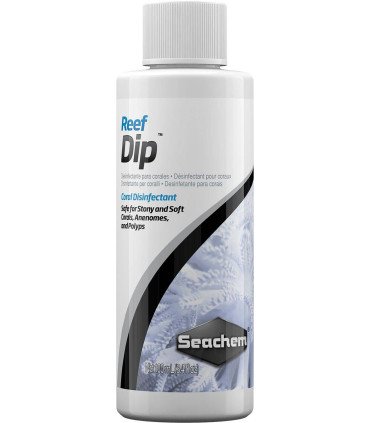 REEF DIP