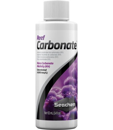 REEF CARBONATE