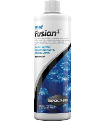 REEF FUSION 1