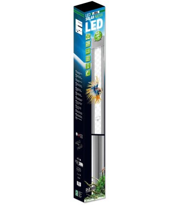 JBL LED SOLAR NATUR (Gen 2)