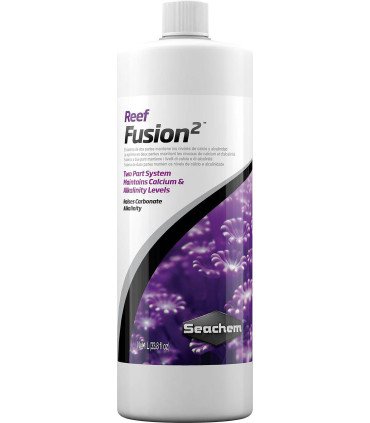 REEF FUSION 2