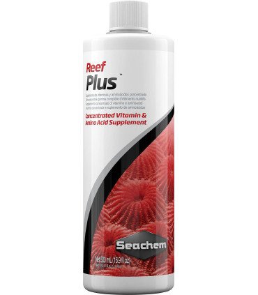 REEF PLUS