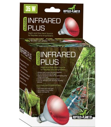 Infrared Plus Halogen