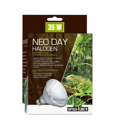 Neo Day Halogen
