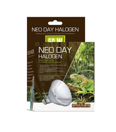 Neo Day Halogen
