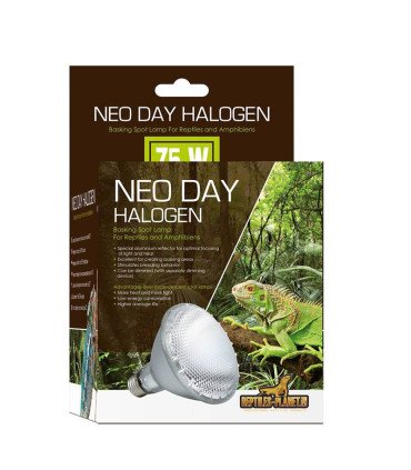Neo Day Halogen