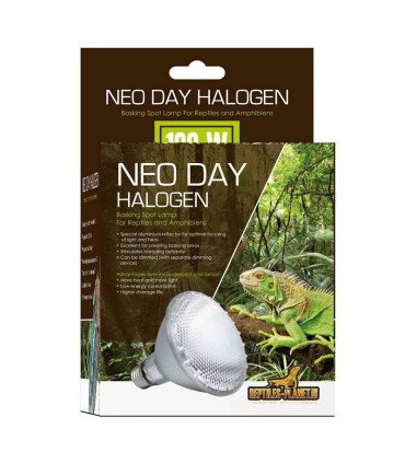 Neo Day Halogen
