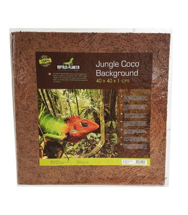 Jungle Coco background