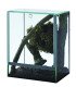 TERRARIUM ARAIGNEE 25x30x30 3mm