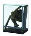 TERRARIUM ARAIGNEE 20x15x25 3mm