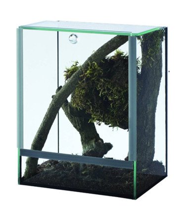 TERRARIUM ARAIGNEE 20x20x30 3mm