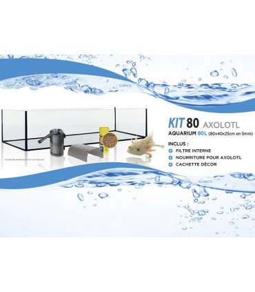 KIT AXOLOTL 80