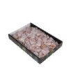 AQUANATURE MINI barquette S QUARTZ ROSE