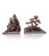 AQUANATUR LANDSCAPE BONSAI L