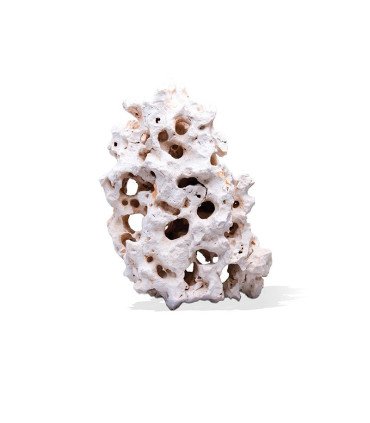 PIERRES A TROUS BLANCHES SABLEES VARIE (prix au kg)