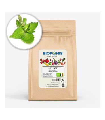 Mélisse Citronnelle