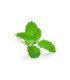 Menthe Verte