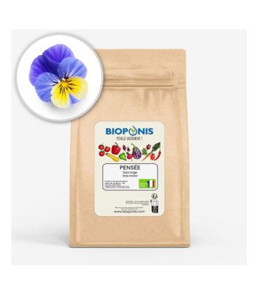 Pensée Sauvage