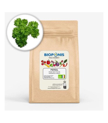 Persil Frisé Vert foncé