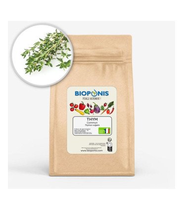 Thym Commun