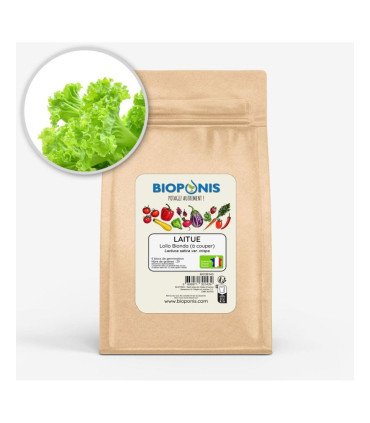 Laitue à  couper Lollo Bionda