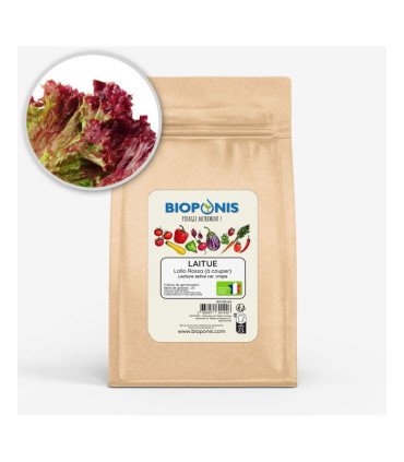 Laitue à  couper Lollo Rossa